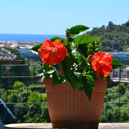 Tranquilla Immersa Nel A 2 Km Dal Mare Apartamento *